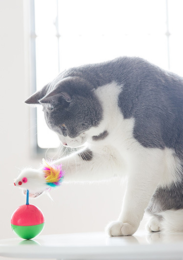 INTERACTIVE BALL-SHAPED CAT TUMBLER TOY
