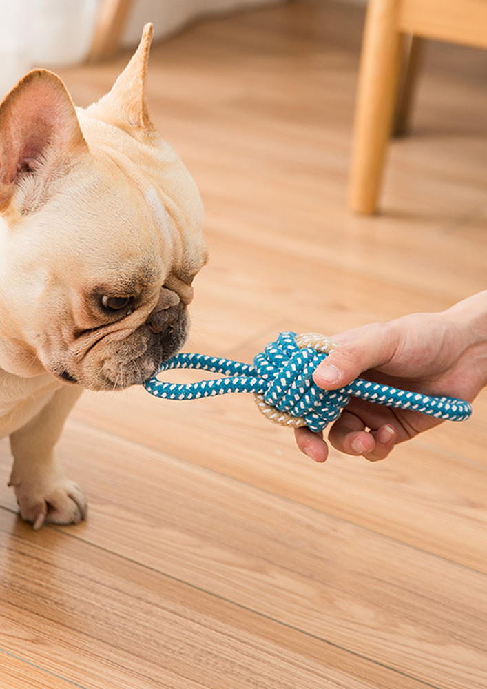BLUE KNOTTED TUG ROPE DOG TOY