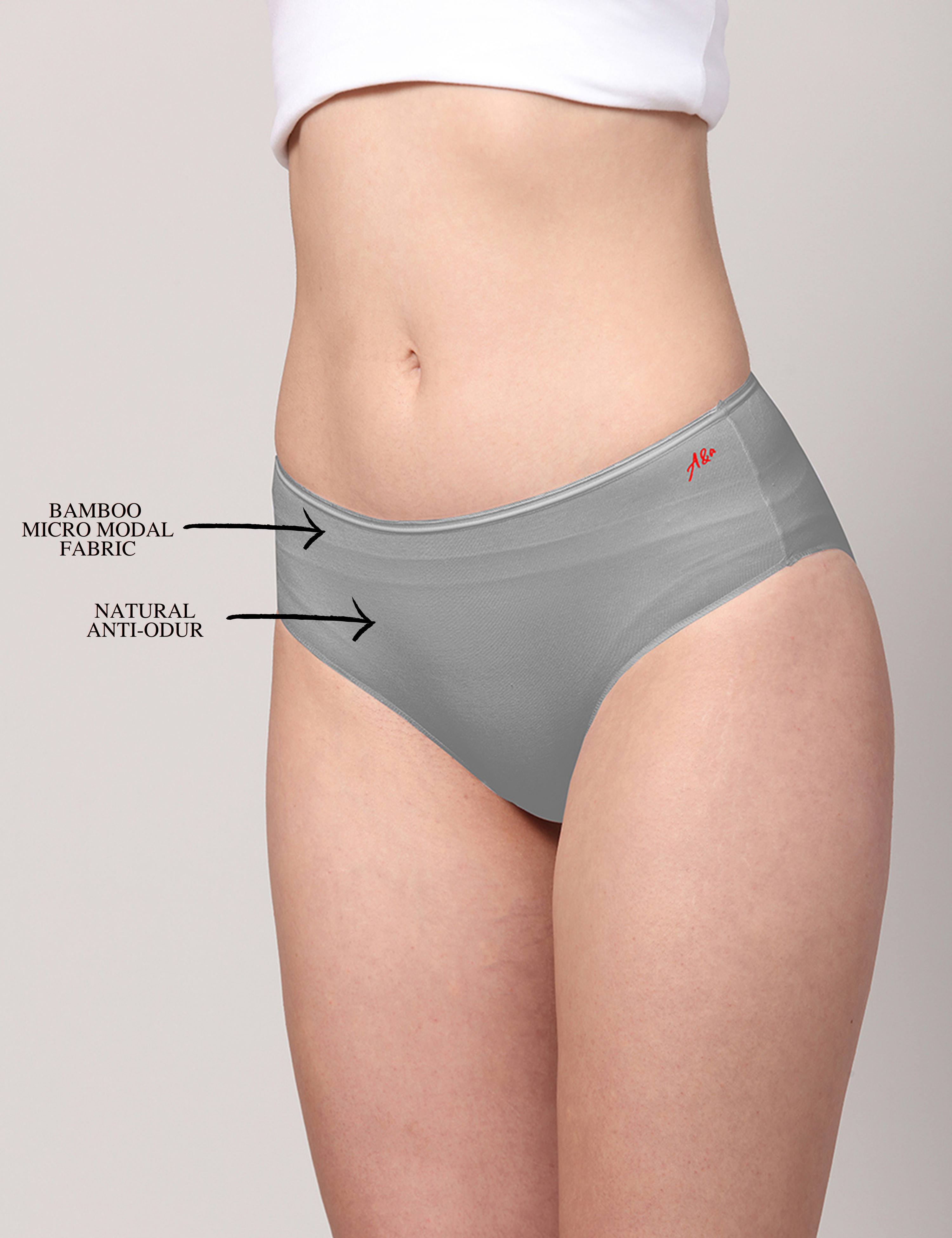 Buy AshleyandAlvis Anti Bacterial, Bamboo MicroModal, Premium Panty, Women  HIPSTER brief, No Itching, 2X Moisture Wicking Daily use Underwear, Odour  Free, (Color-GREY-GREY-GREY) (PACK OF 3) for Women Online in India