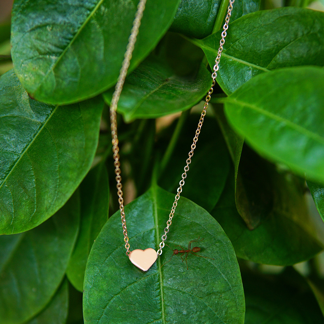 Heart Mini Pendant Gold-Toned Dainty Necklace-8903705186883