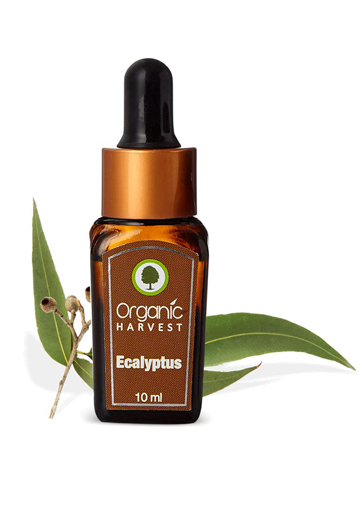 Organic Harvest Eucalyptus Essential Oil, 10ml