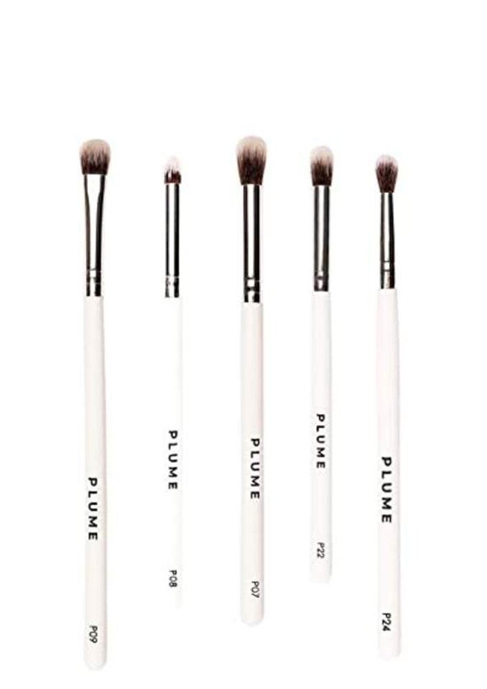 5 Pcs Eyeshadow Blending Brush Set