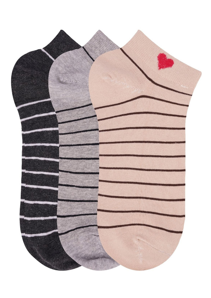 N2s Next2skin Women's Low Ankle Length Stripes Pattern Cotton Socks (pack Of 3) (charcoalgrey:grey:skin)