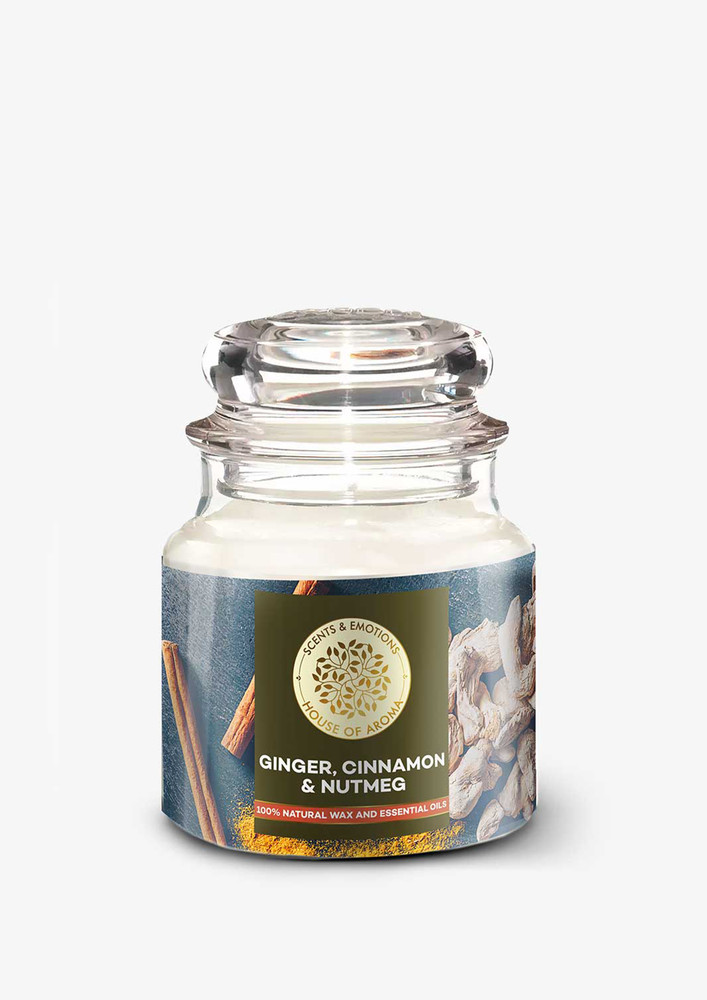 House Of Aroma Ginger, Cinnamon And Nutmeg Scented Candle For Aromatherapy, Made With 100% Natural Wax And Essential Oils-100 Gms