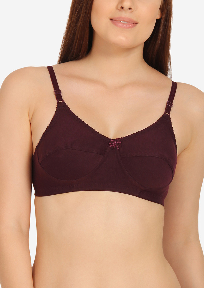 Leaving Chaos Wine Non Wired Non Padded Bra