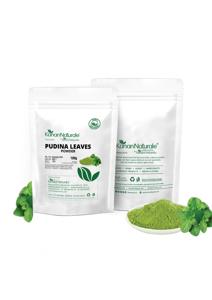 Pudina Leaves Powder 200g (2 x 100g)