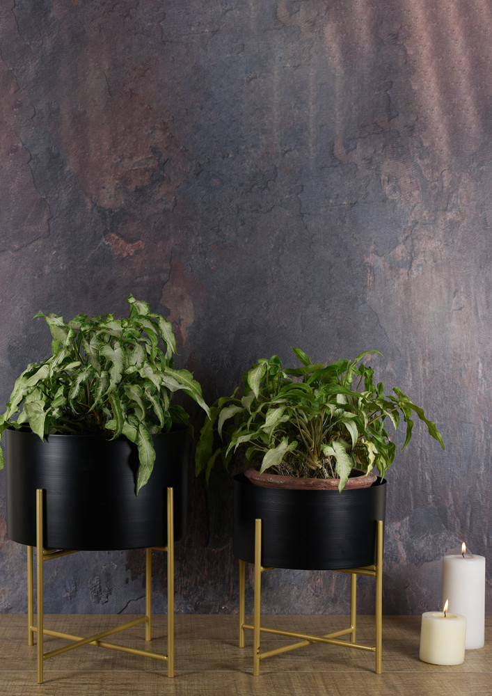 Black Planter with Golden Stand - Detachable Stand 12 inches