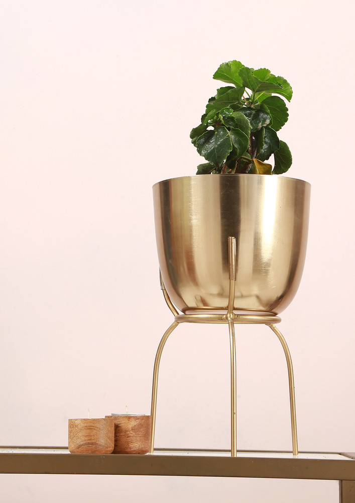 Manor House Golden Metal Planter with stand 12 inch tall