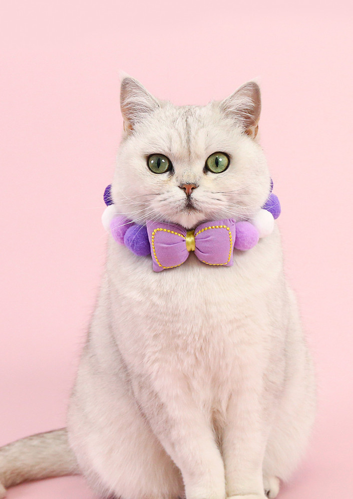 Purple Pom-pom Bow-tie Cat Collar