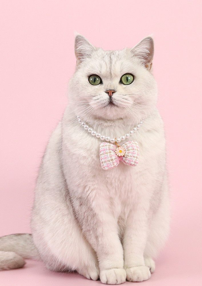 Pink Bow Tie Imitation Pearl Collar