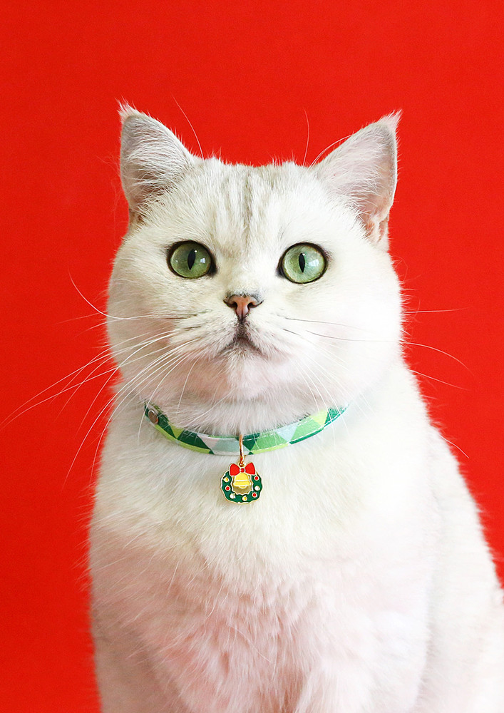 Printed Green Pet Collar