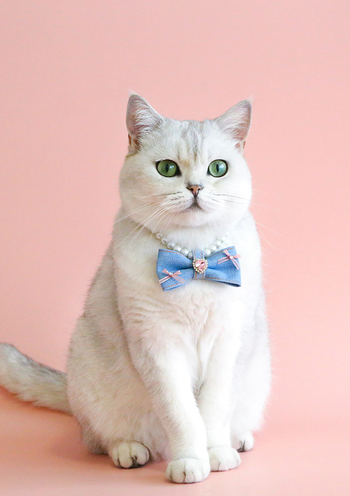 Pink Blue Imitation Pearl Pet Collar
