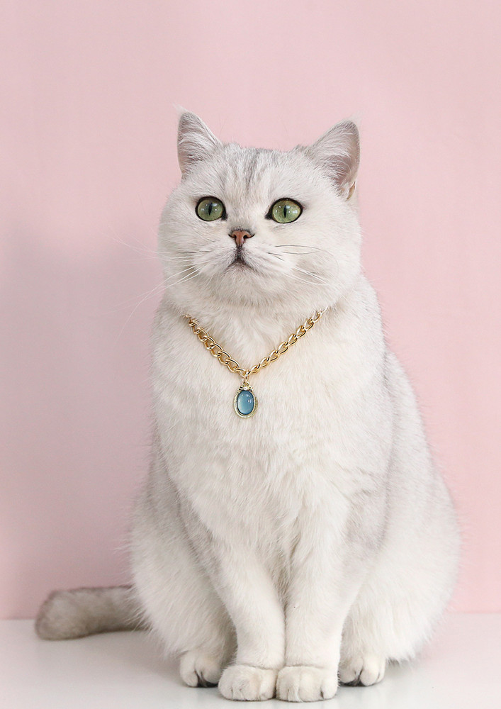 Blue Imitation Pearl Curb Chain Pet Collar