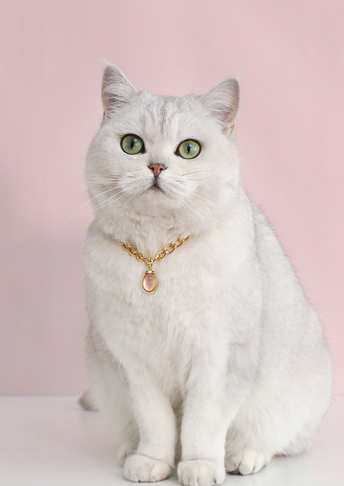 Pink Imitation Pearl Curb Chain Pet Collar
