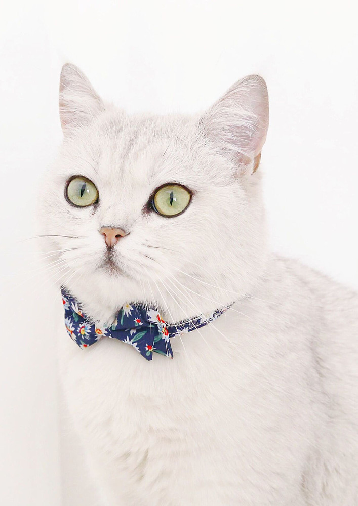 Deep Blue Detachable Bow-tie Pet Collar