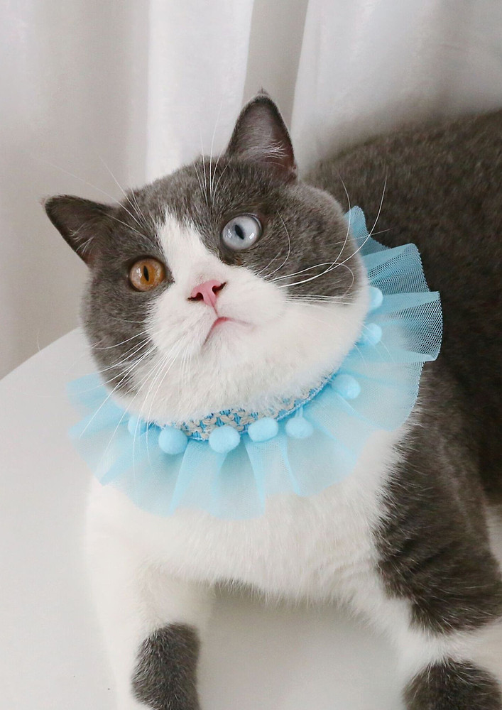 Blue Pom-pom Embroidered Cat Collar