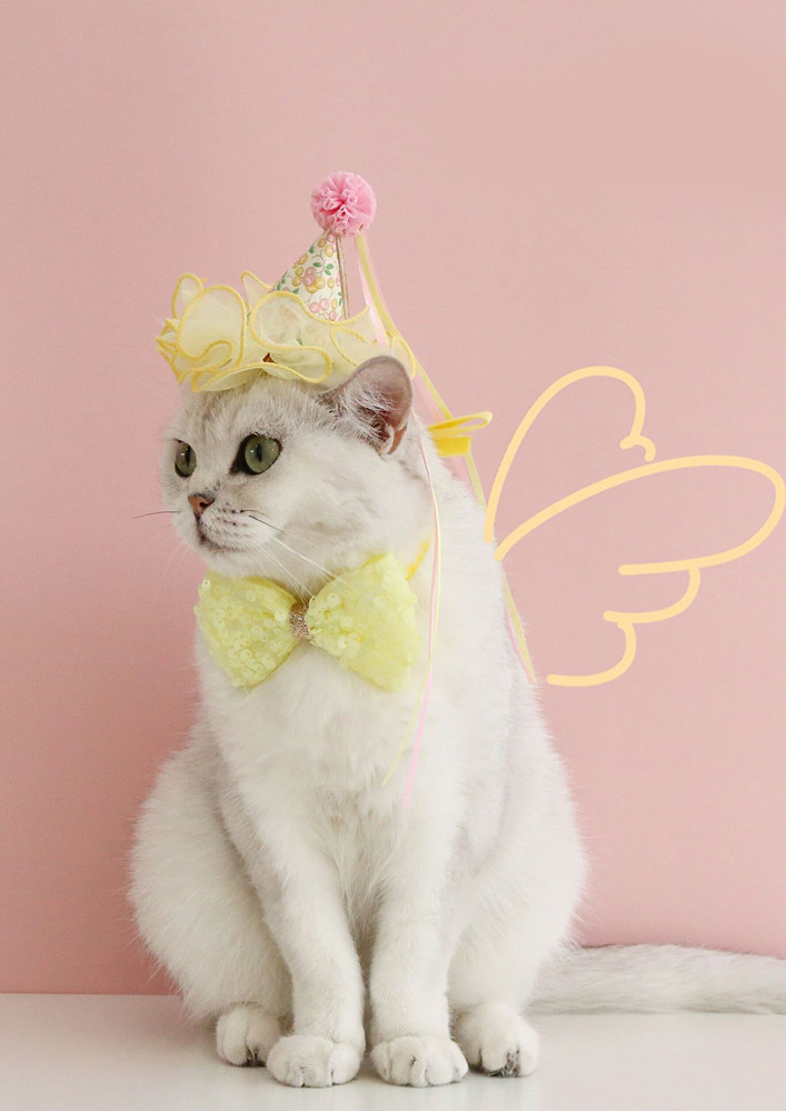 YELLOW BIRTHDAY HAT & BOW-TIE SET FOR CATS