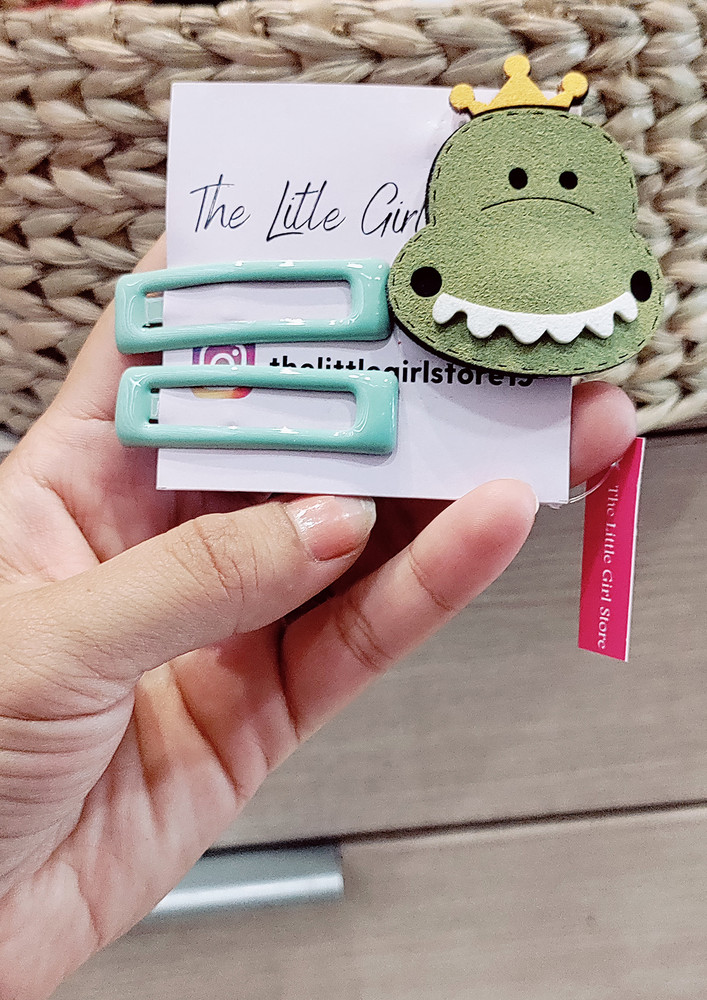 Cool Looking Green Combo Clip Pack For Girls-LG_CLIP04