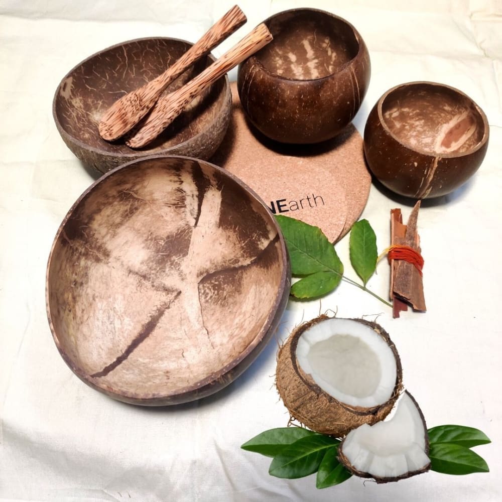 Coconut Shell Bowl - Family Pack (4 different sizes)
