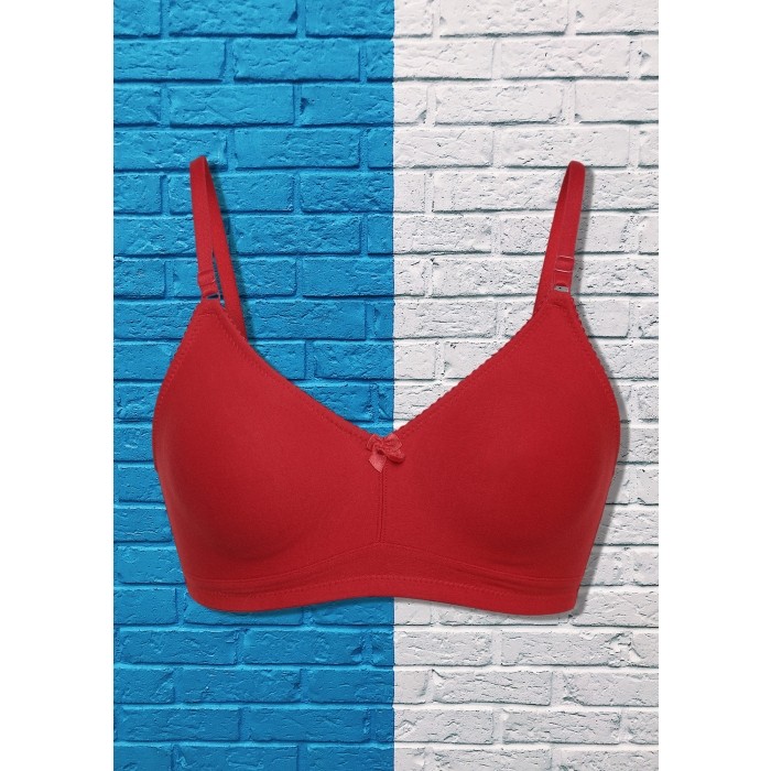 Buy PLAY THE COSY VIBE NON PADDED NON WIRED MAROON BRA for Women Online in  India